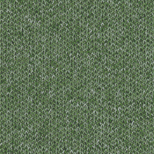 Aedo - Collezioni Adrenalina