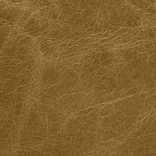 Aedo - Collezioni Adrenalina